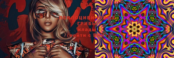 дмт Алексин