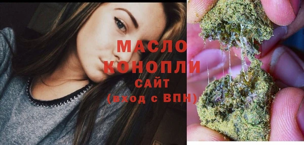 дмт Алексин