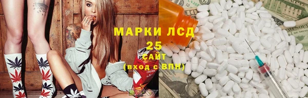 винт Абаза