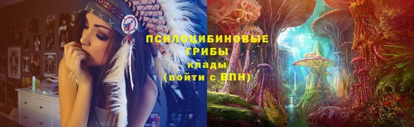 мдпв Абдулино