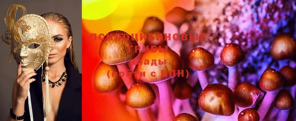 прущие грибы Алексеевка