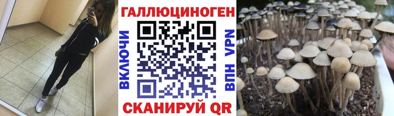 Галлюциногенные грибы Magic Shrooms  где найти наркотики  Полярный 