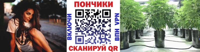 Бошки марихуана Bruce Banner Полярный